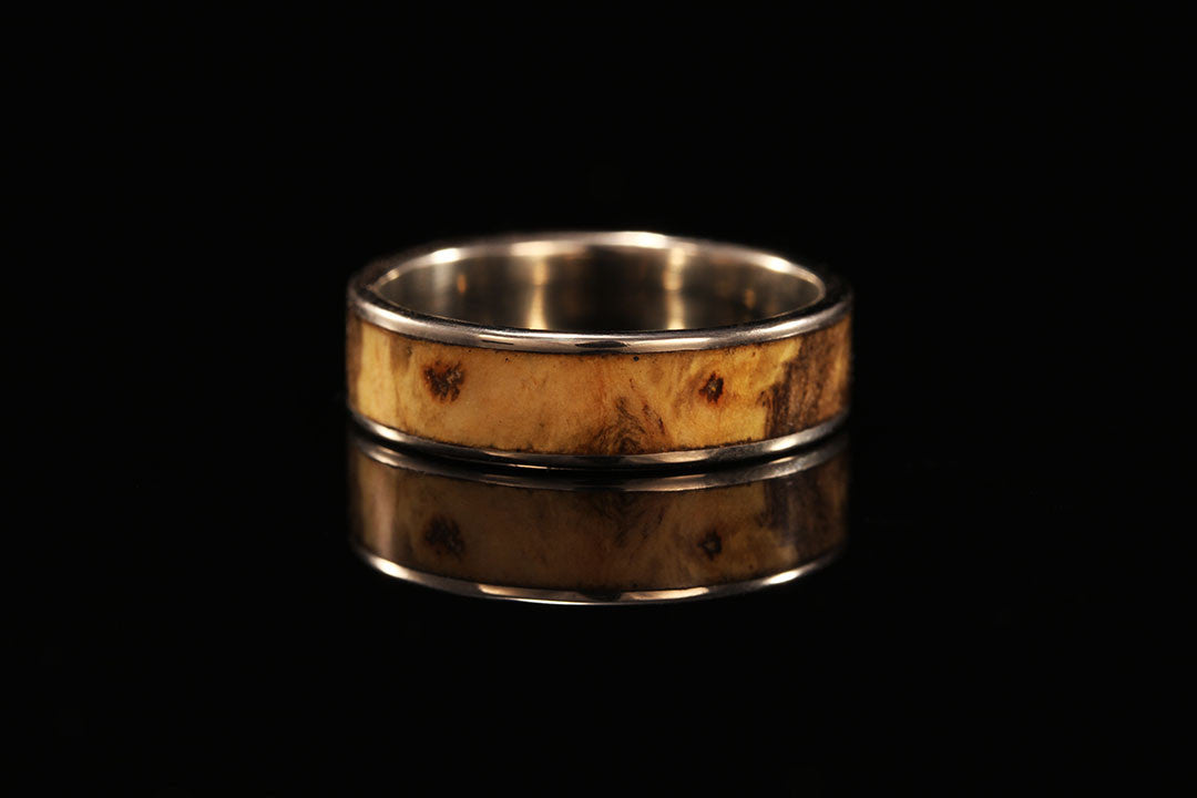 Womens buckeye burl 14K white gold wide inlay ring, golden band, Chasing Victory, engagement ring, wedding bands