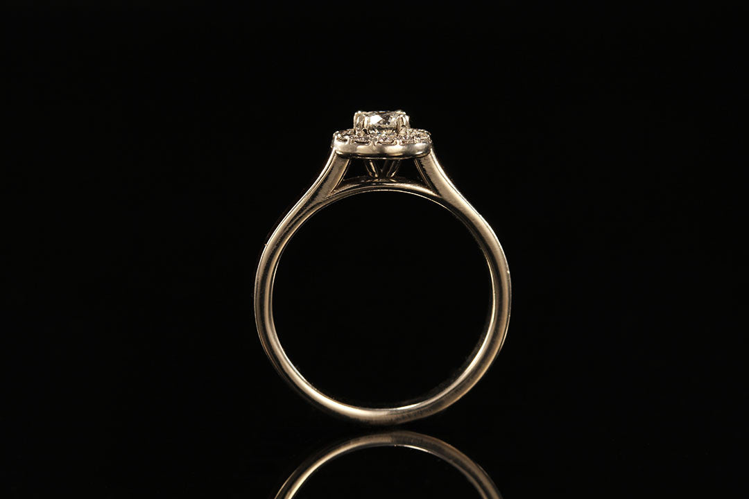 Ebony Wood and Gold Ring, upright view, golden band, Chasing Victory