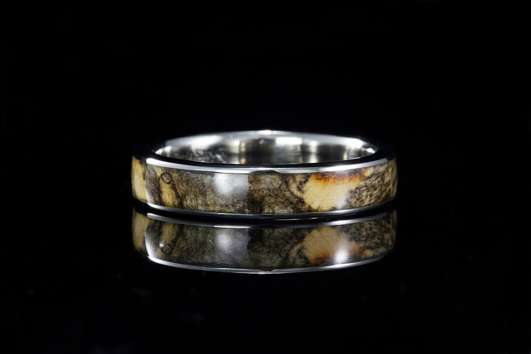 BUCKEYE BURL 14K WHITE GOLD WIDE INLAY RING