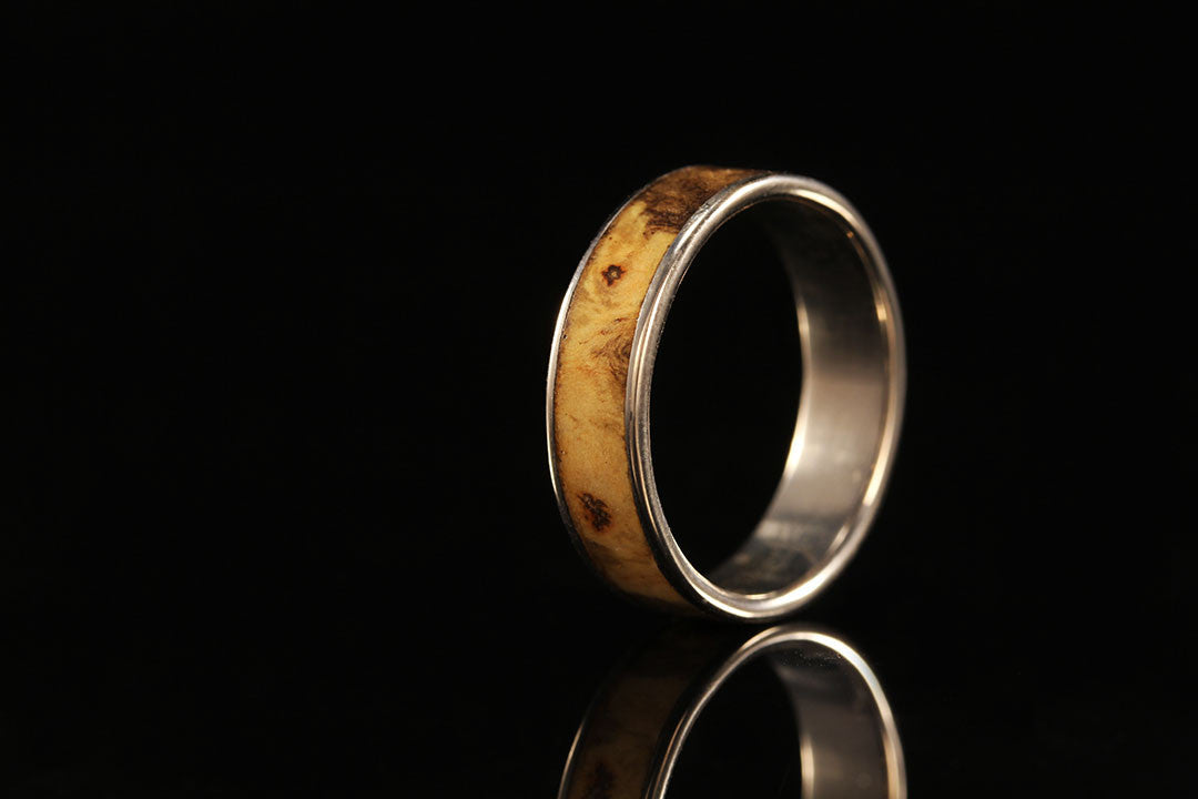 Buckeye Burl Wooden Wedding Ring, upright view, golden inner band 