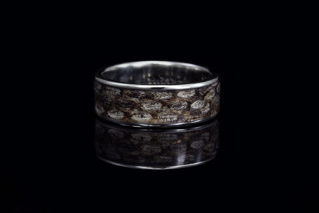 Rattlesnake skin ring with white gold, rattlesnake skin, silver lining