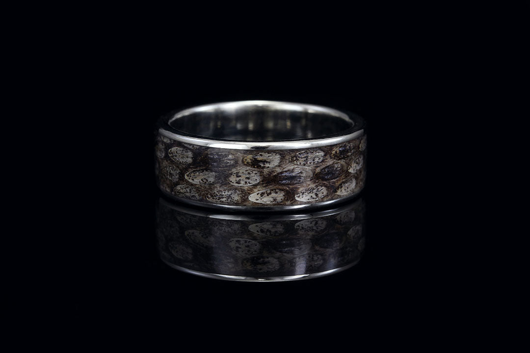 Snakeskin ring with black background, silver interior and lining, wide band