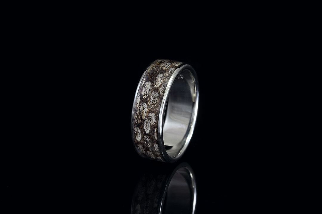 Snakeskin rings upright view with black background, upright view, silver interior